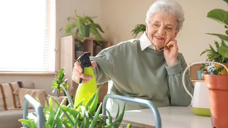 A smiling woman waters her aloe plant.