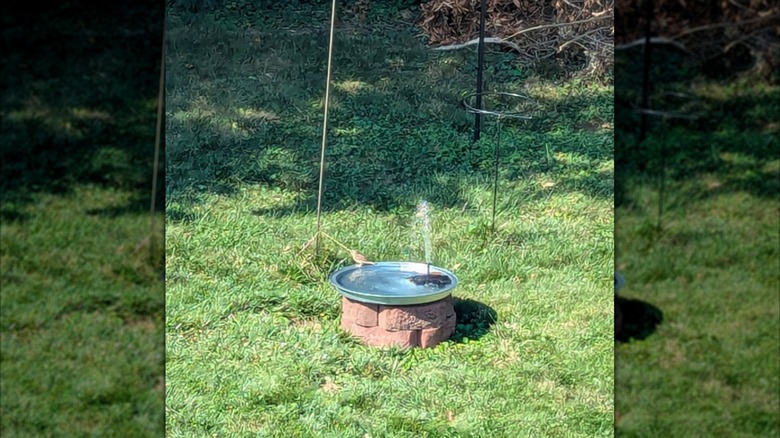 A bird bath made of a garbage can lid rests on concrete blocks. It also has a solar powered fountain.