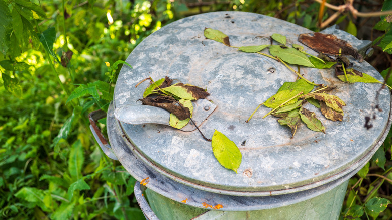 An old metal garbage can is in a garden surrounded by leaves.