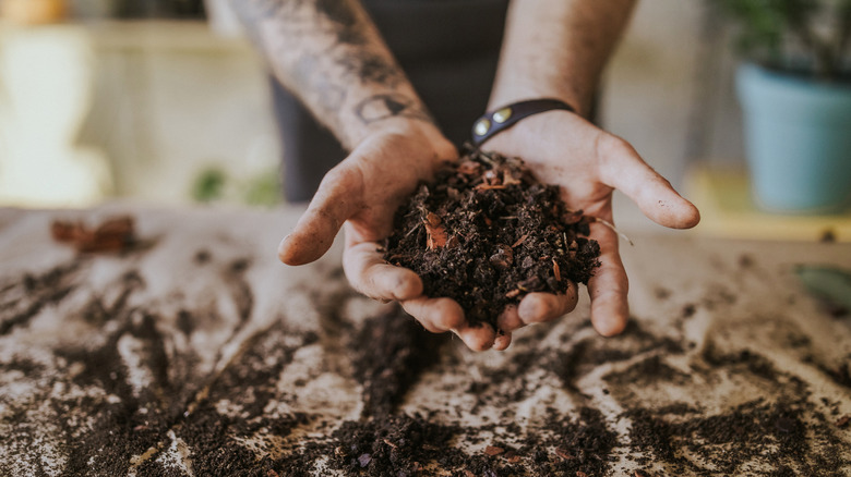 Hands hold rich compost.