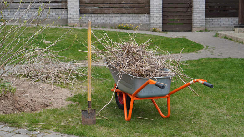 Don't Toss Garden Scraps When You Could Be Using Them To DIY A Bird Feeder