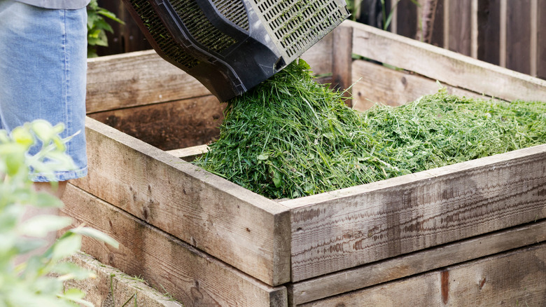 A person emptying a lawnmower grass catcher into a wooden raised garden bed