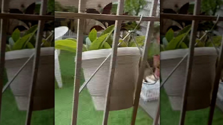 A wire hanger has been bent to be able to support a potted plant and hold it on a ladder structure.