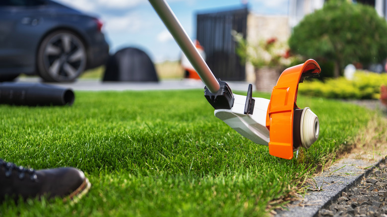 Close up of a weed eater trimming the edge of a lawn.