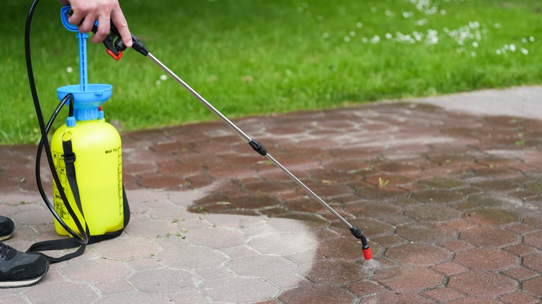 A hand is holding a sprayer with a long-nozzle and spraying liquid onto a paved pathway.