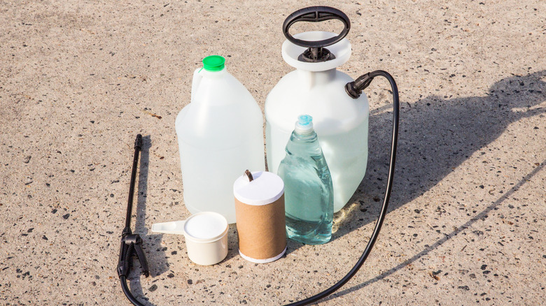 A weed sprayer, white jug, clear bottle of blue liquid, round brown container, and small white scoop are grouped together on the ground.