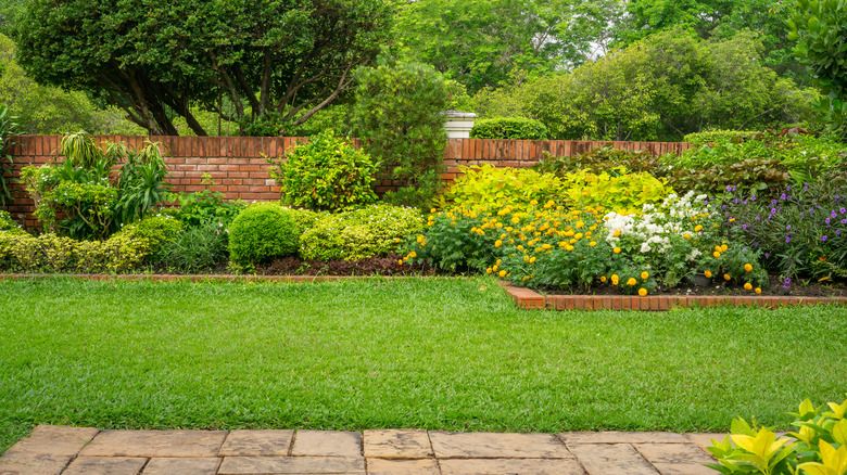 A lush lawn thrives in a backyard.