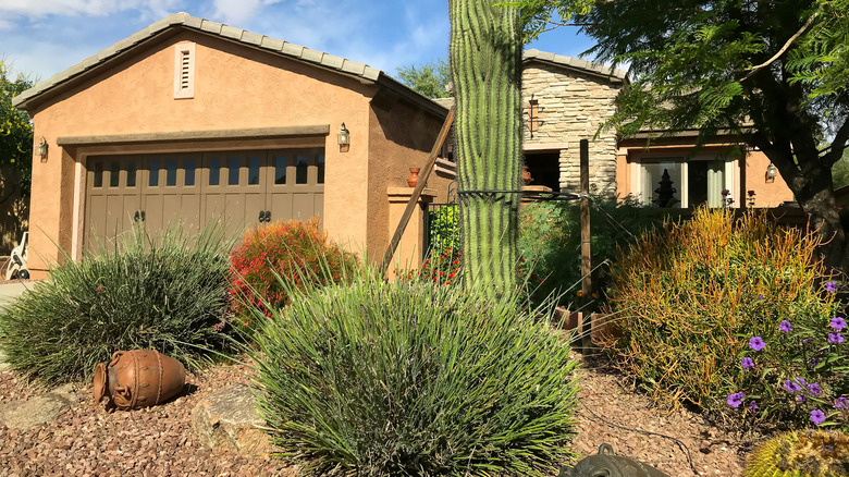 A home in the Southwestern United States boasts cacti and other drought tolerant natives.