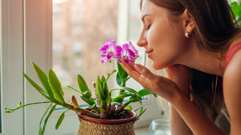 A woman smells a pink flower that sits on a window sill.