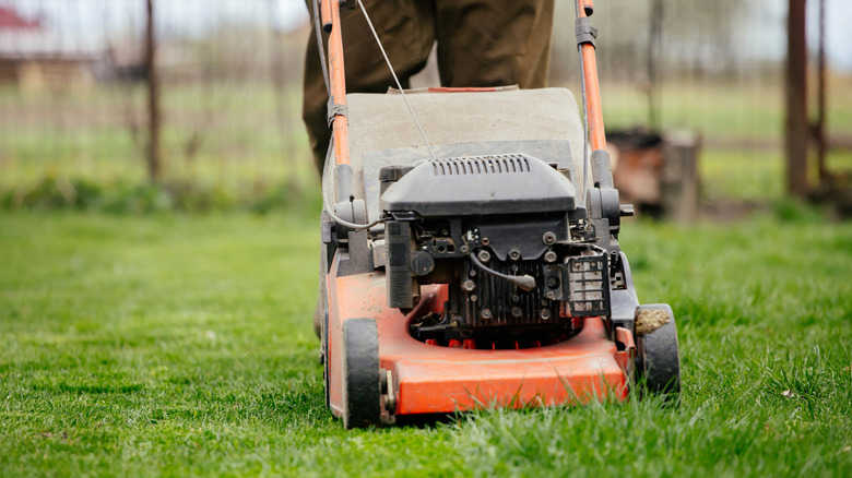 A person uses a walk-behind lawnmower to mow their lawn.