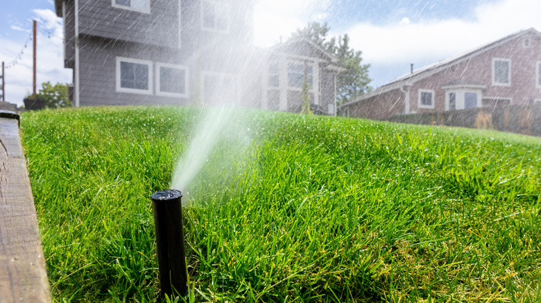 Rain Brid sprinkler water green grass on a lawn.