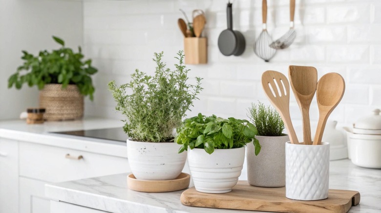 Pots of basil and other herbs decorate a brightly lit kitchen.
