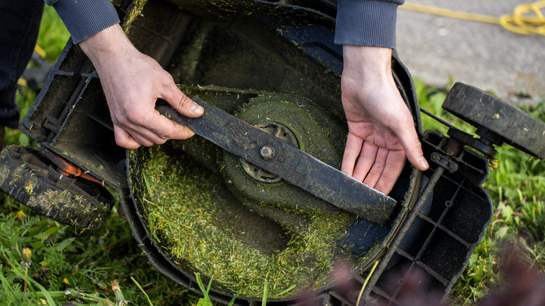 Grass clings to the blade and underside of a lawn mower.