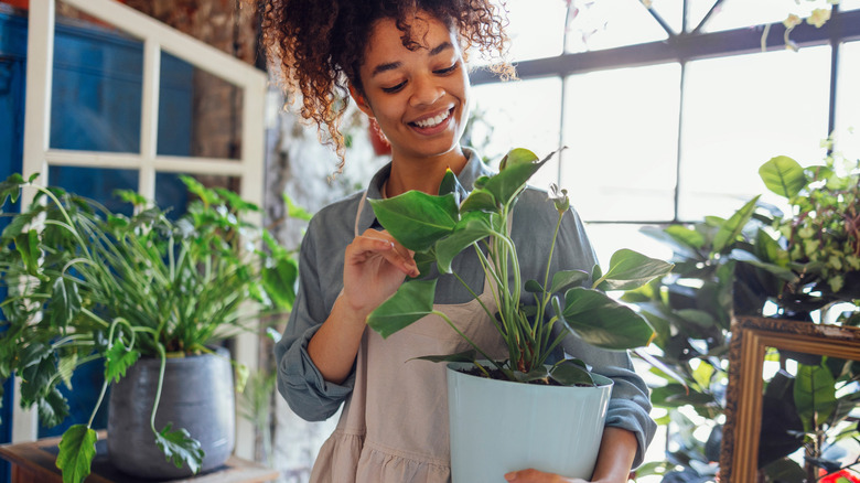 A woman cradles a houseplant with many houseplants behind her