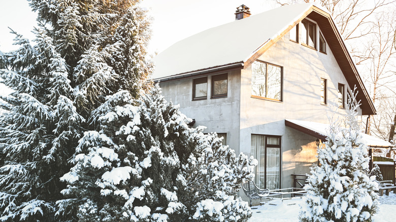 Snow-covered trees stand near a house in winter.