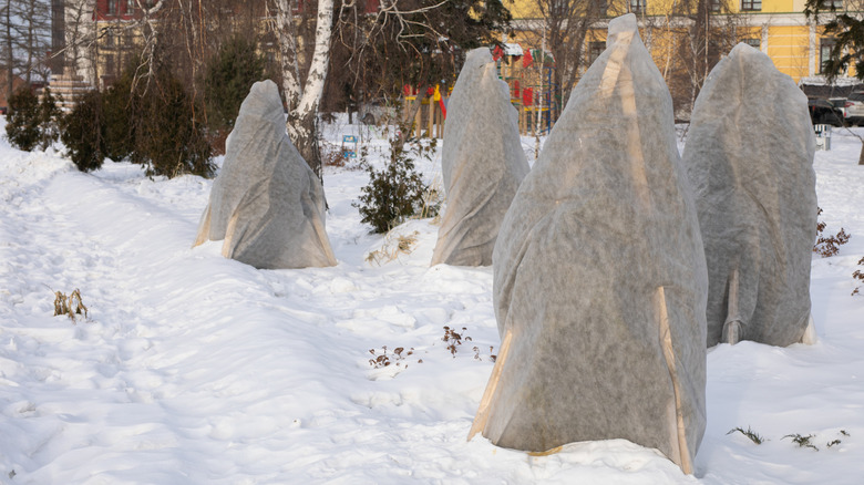 Burlap fabric covers