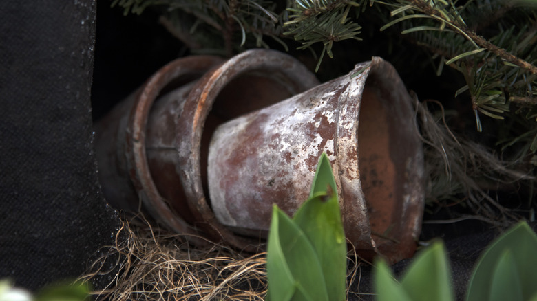 Stacked terracotta pots with visible mildew and mineral residue.