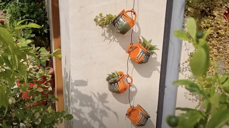 Four mugs filled with plants are tied together by their handles and hung against a wall.