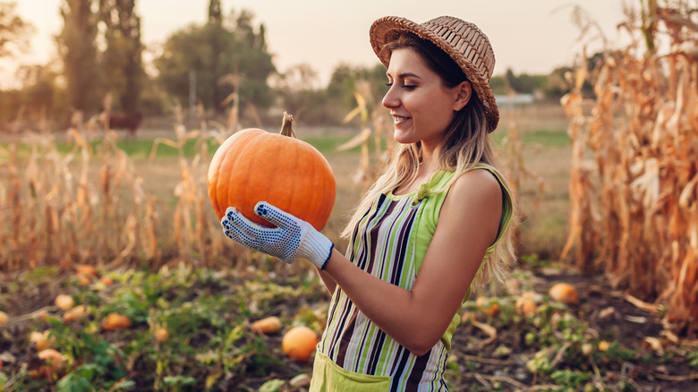 Woman holding pumpkin while looking at it in the garden