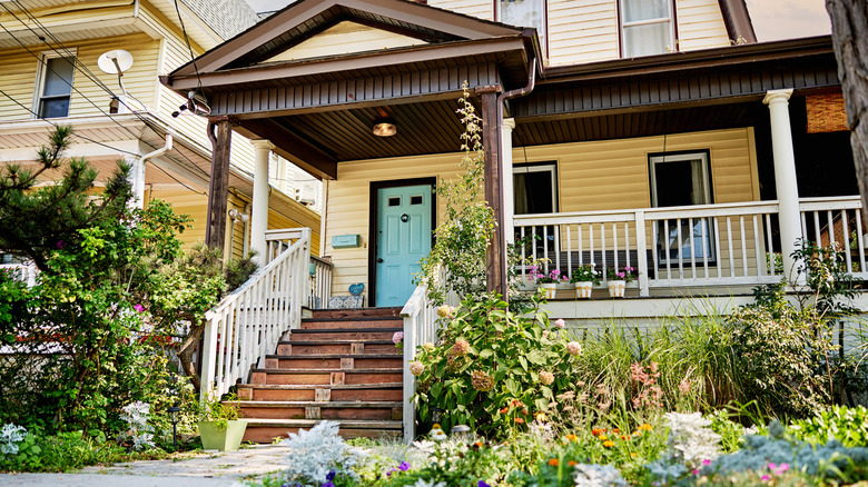 I've Been Urban Gardening For 6 Years. Here Are My Two Favorite Fruits To Grow In A Small Space