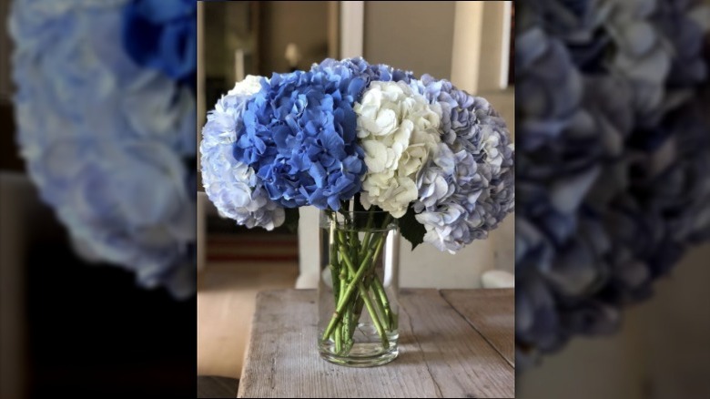 a bouquet of hydrangeas in different shades of blue in Ina Garten's house