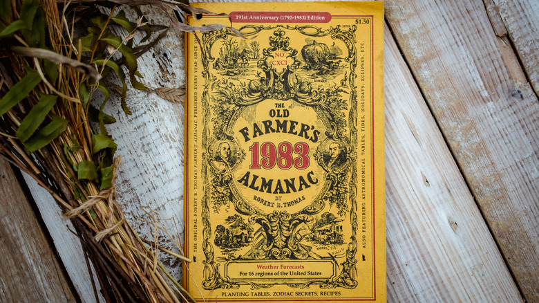 A yellow 1983 copy of the Old Farmer's Almanac sits on a table next to a bunch of plants