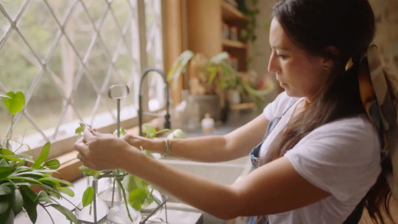 Joanna Gaines placing green leaves in a metal carrying case.