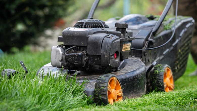 A close up view of lawn mower cutting grass.