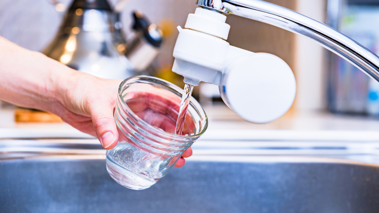 A woman fills a glass from a filtered attachment on the sink faucet.