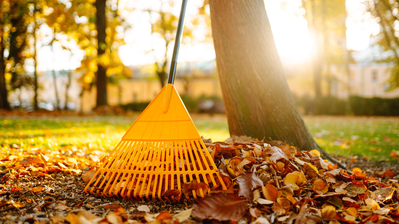 close up of a yellow rake against a pile of leaves resting against a tree