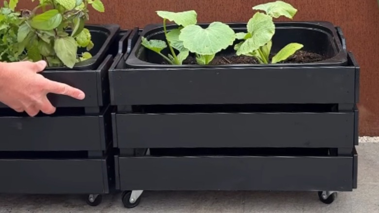 Two DIY herb containers are filled with plants.