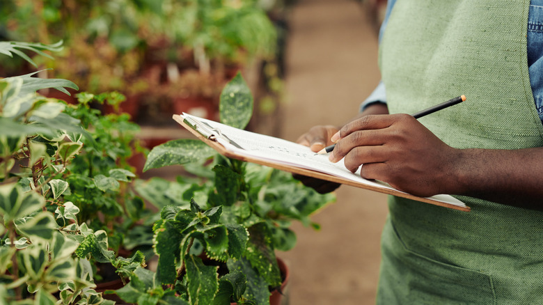 Gardener draws out a plan on a clipboard.