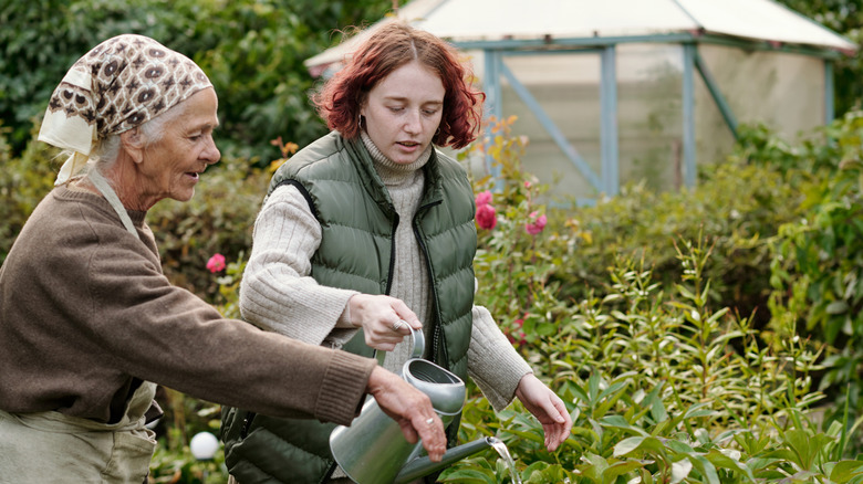 An older woman gardens alongside a younger woman.