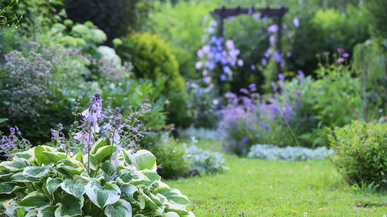 A variety of different plants thrive in a flower garden.