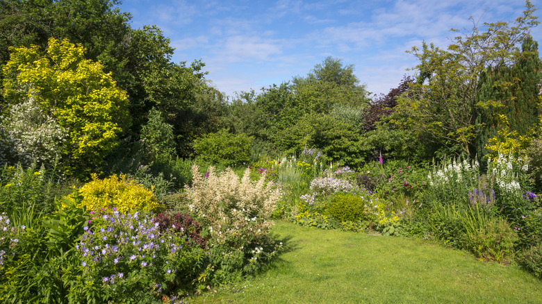 A garden has trees and shrubs.