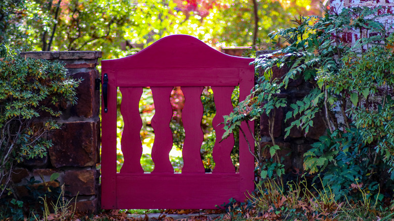 A red garden gate is latched shut with shrubs on either side.