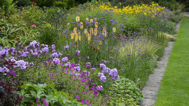 A garden is full of flowers and ground covers, leaving little space for weeds.