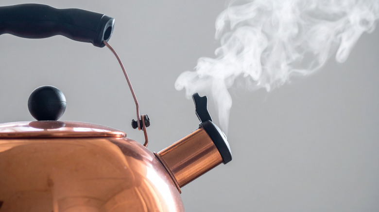 Close up of steam rising from a kettle's spout.