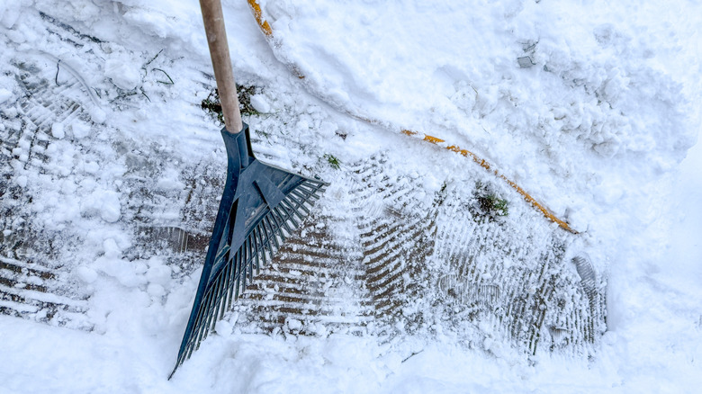 A leaf rake leaves lines in the snow.