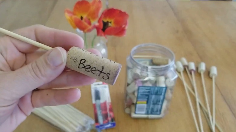 Woman holds a wine cork plant label.
