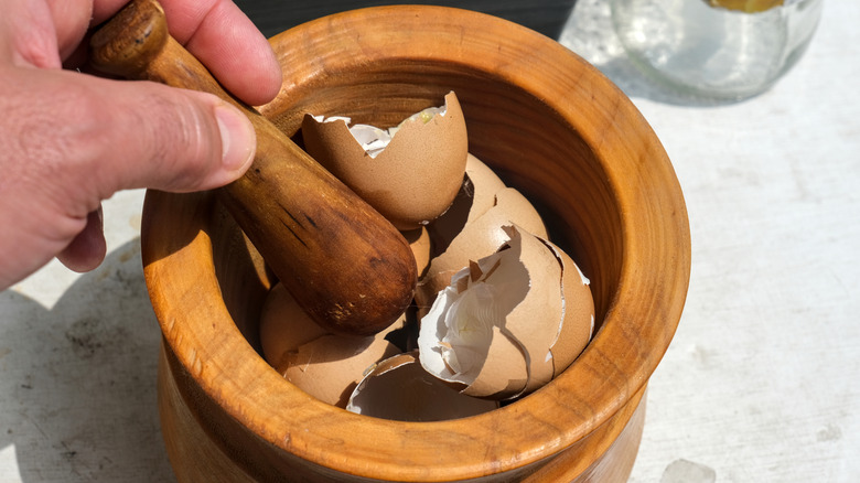 A person crushes eggshells with a mortar and pestle.