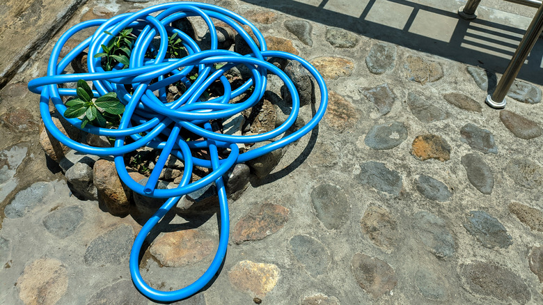 Tangled hose sits on a cobblestone patio.