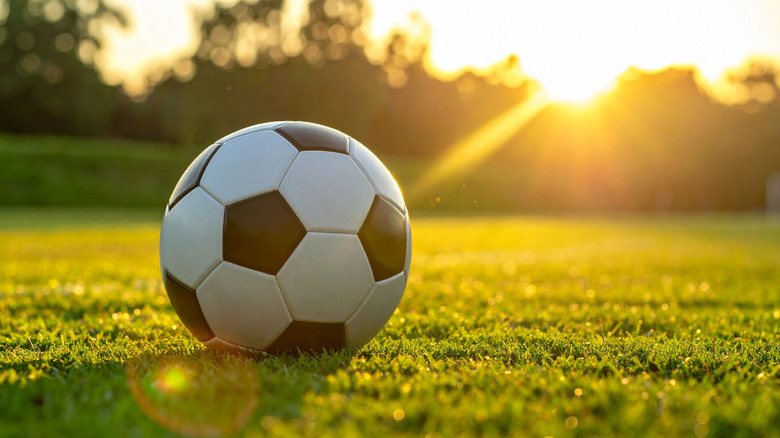 A soccer ball is on a grassy lawn on a sunny day.