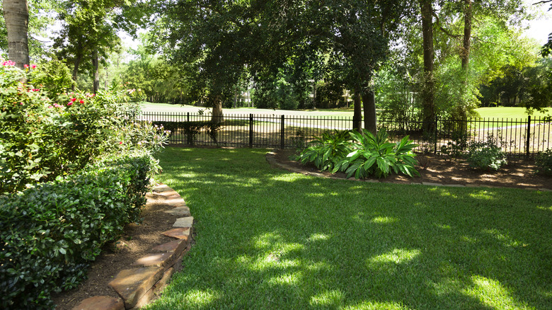 A patch of a well manicured backyard is covered in shade.