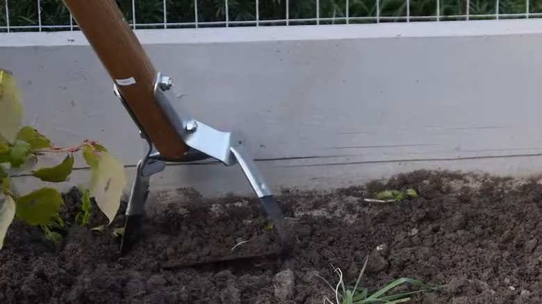 A gardener uses a stirrup hoe in a garden.