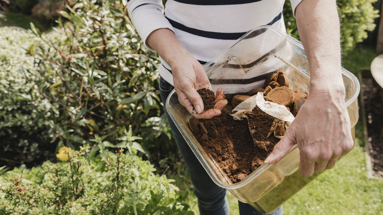 A person is standing next to bushes outside, holding a clear container filled with used coffee grounds and coffee filters.