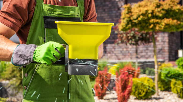 Gardener spreads additions for the grass.