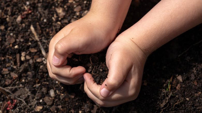 A child's hands playing in soil