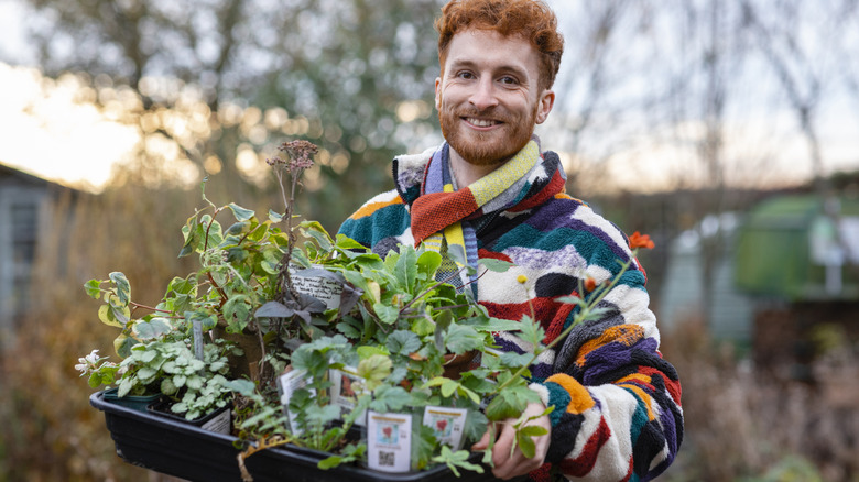 Red-haired man with facial hair smiling, wearing warm weather clothes, as he holds a tray of perennial flowers ready for planting