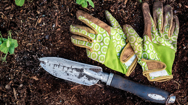 Garden gloves sit on dirt next to a spade.